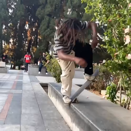 J Kwon Blunt To Fakie