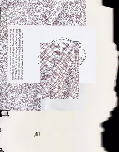 Item #5 Media
