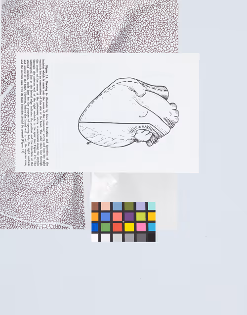 Item #28 Media