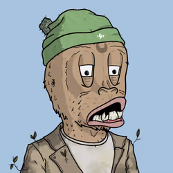 816