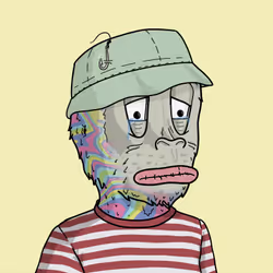 681