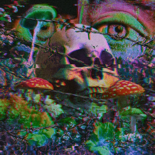Item #6 Media