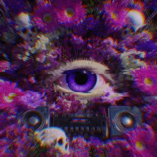 Lilicuts