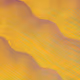 337