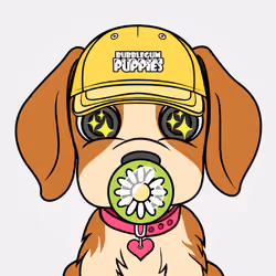 Bubblegum Puppy #8043