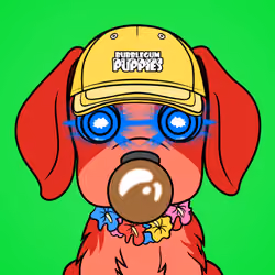 Bubblegum Puppy #6269