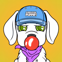Bubblegum Puppy #6499