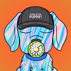Bubblegum Puppy #467
