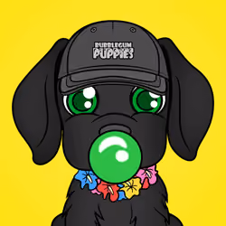 Bubblegum Puppy #6903