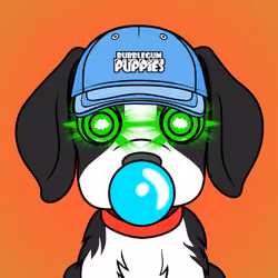 Bubblegum Puppy #2604
