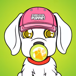 Bubblegum Puppy #5328
