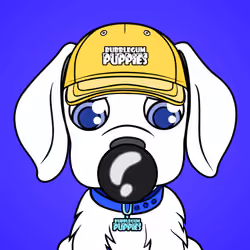 Bubblegum Puppy #121