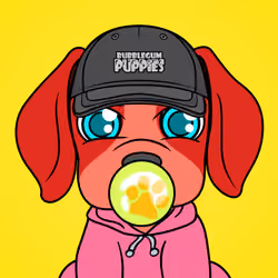 Bubblegum Puppy #6244