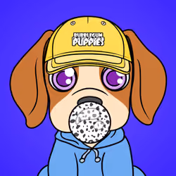 Bubblegum Puppy #1373