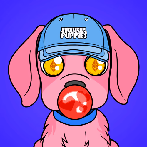 Bubblegum Puppy #6262
