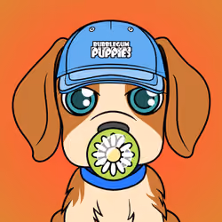 Bubblegum Puppy #8697