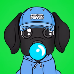 Bubblegum Puppy #3322