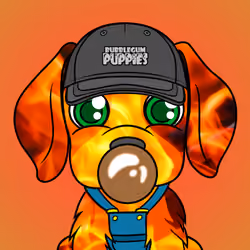 Bubblegum Puppy #263