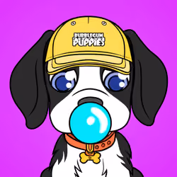 Bubblegum Puppy #3424
