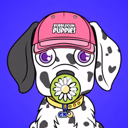 Bubblegum Puppy #6775