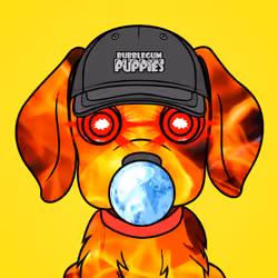 Bubblegum Puppy #1737