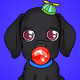 5081