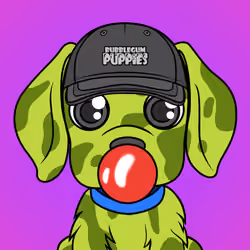 Bubblegum Puppy #3133