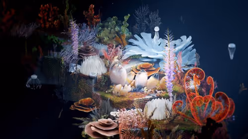 Item #77000001 Media