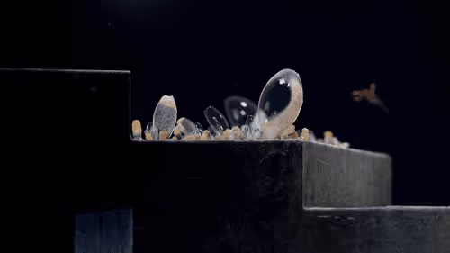 Item #80000001 Media