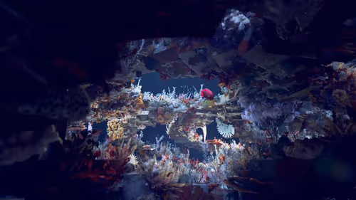 Item #82000001 Media