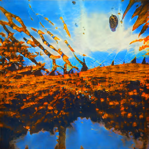 Gan Nature