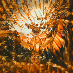 GAN-Nature #0070