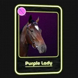 Purple Lady Jockey Club #4