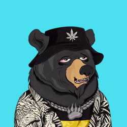 Fancy Bear #7455