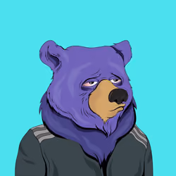 Fancy Bear #863