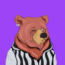 Fancy Bear #5078