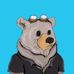 Fancy Bear #2603