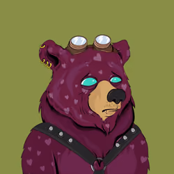 Fancy Bear #904