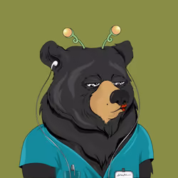 Fancy Bear #6332