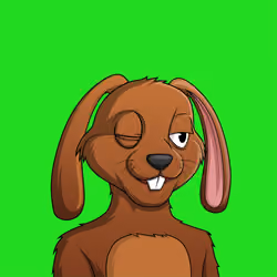 bunny #146