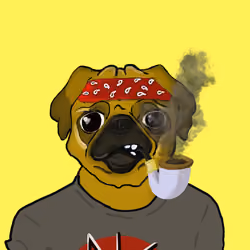 #1000