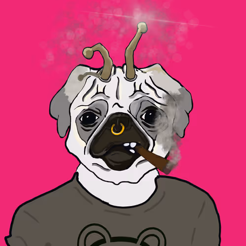 Maestropups 1