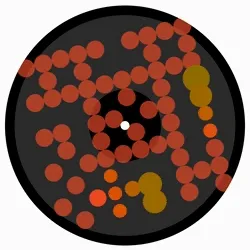 Eulerbeats