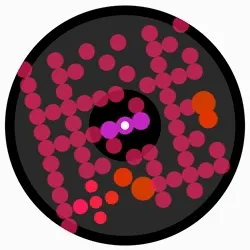 Eulerbeats