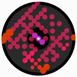 567808427779