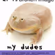 204
