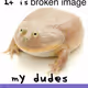 1171
