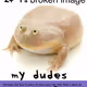 1026