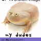 1236