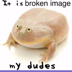 113